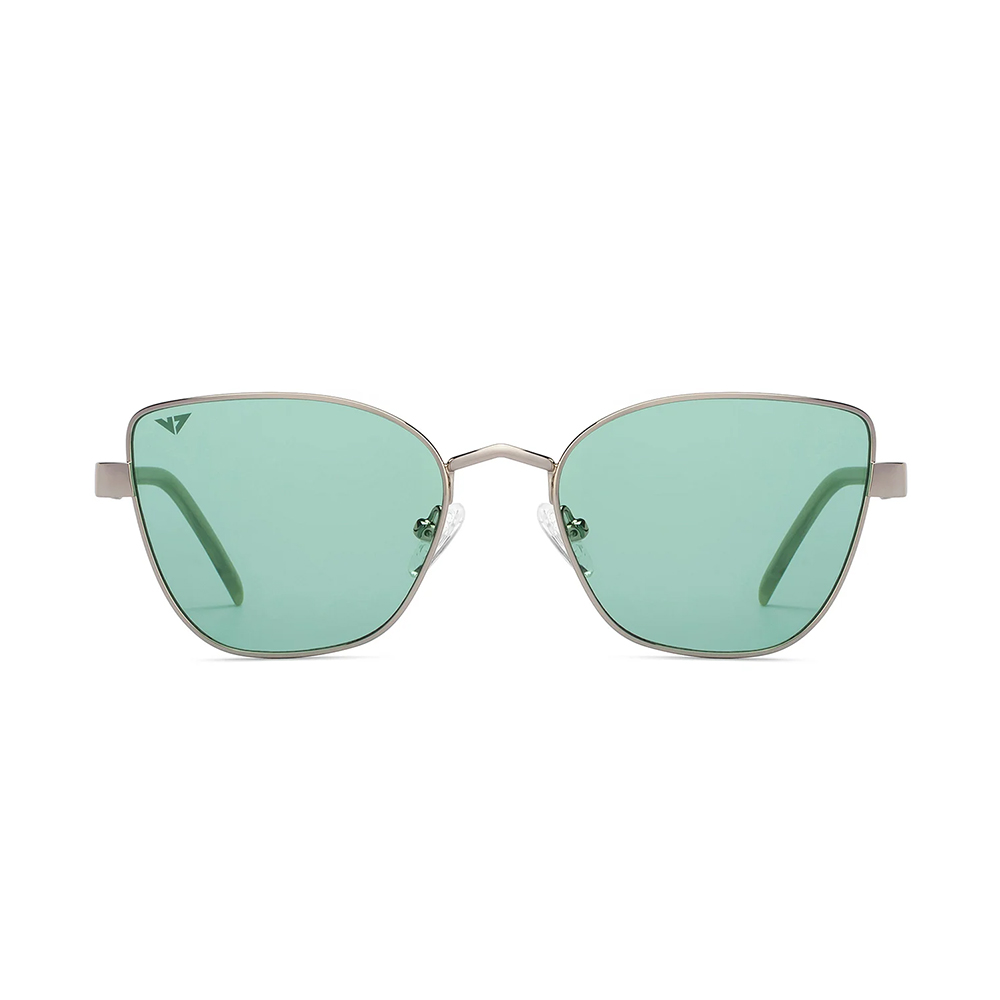 Wayfarer Full Frame Silver Sunglasses